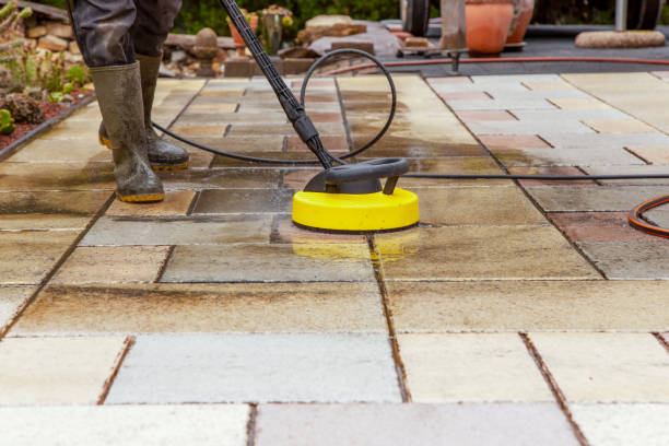 Best Animal Enclosure Cleaning  in Jupiter Farms, FL